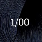 GLOSS 1 / 00